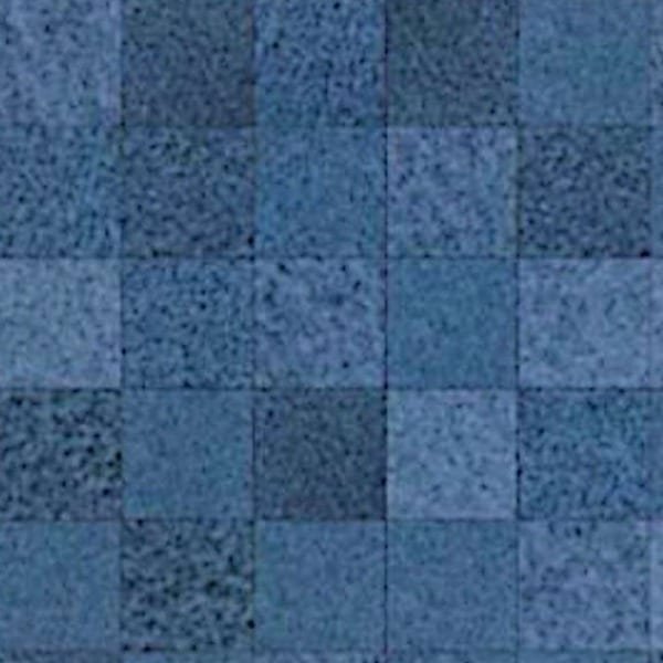Salvadori Biru
